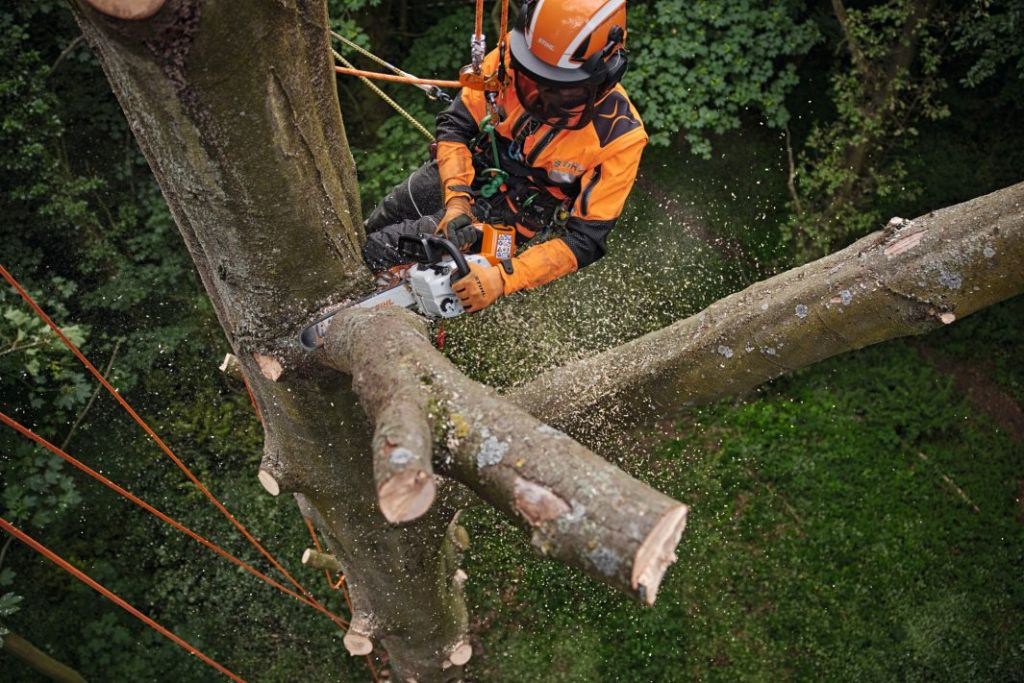 STIHL MSA 220.0 TC-O 30 CM KETTINGZAAG - Afbeelding 6