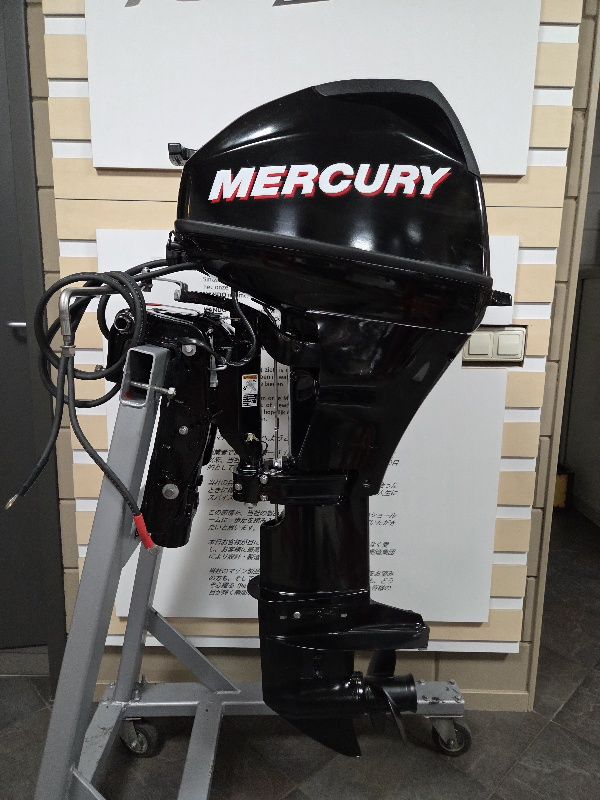 MERCURY 15 ELPT 4 STROKE LANGSTAART