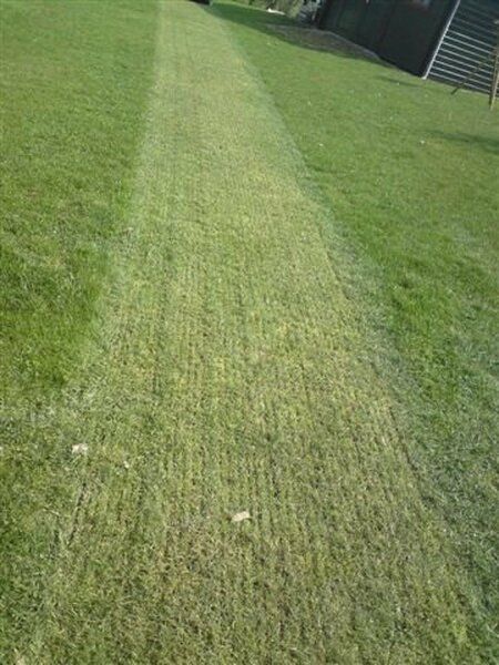 PERUZZO KOALA M KLEPELMAAIER MET OPVANG - Afbeelding 7